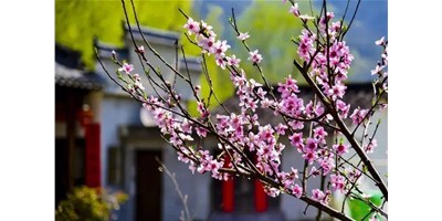 阳春三月，，，，，尊龙凯时精机一大波展会即未来袭，，，，，您准备好了吗？？？？？